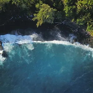 The Dolphin At , Kehena USA